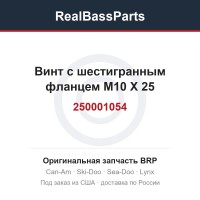 250001054 Винт с шестигранным фланцем M10 X 25