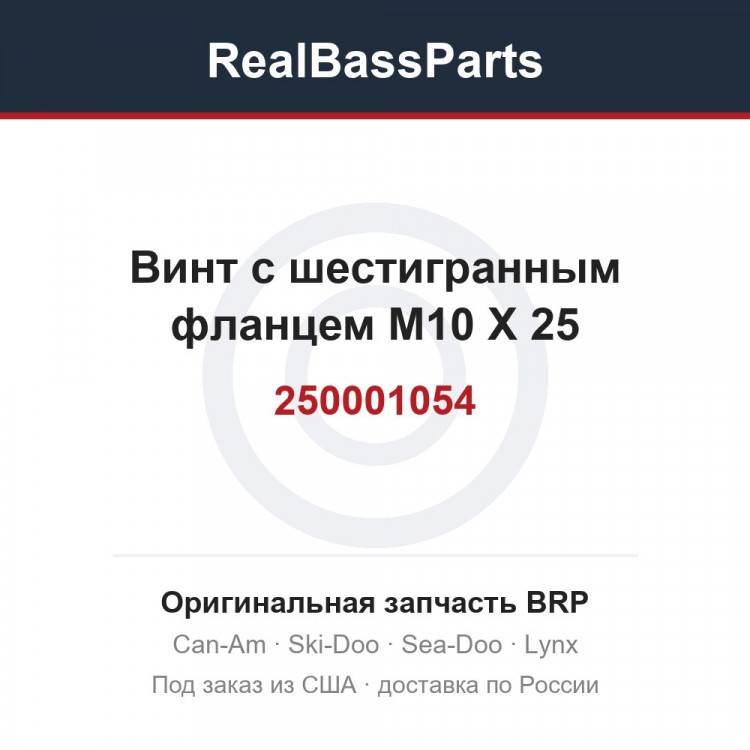 250001054 Винт с шестигранным фланцем M10 X 25