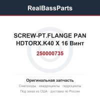250000735 SCREW-PT.FLANGE PAN HDTORX.K40 X 16 Винт