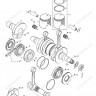 420246055 CLAVETTE       *KEY-WOODRUFF