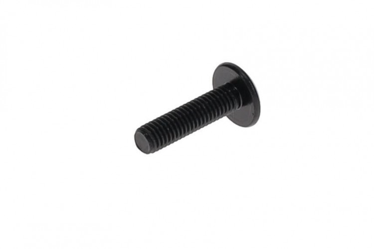 250000792 TORX-TRUSS M/SM5 X 20