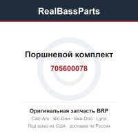 705600078 Поршневой комплект