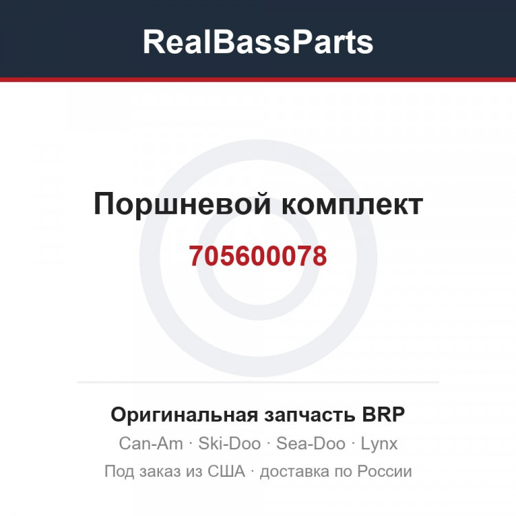 705600078 Поршневой комплект