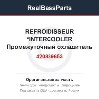420889653 REFROIDISSEUR  *INTERCOOLER  Промежуточный охладитель