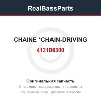 412106300 CHAINE         *CHAIN-DRIVING