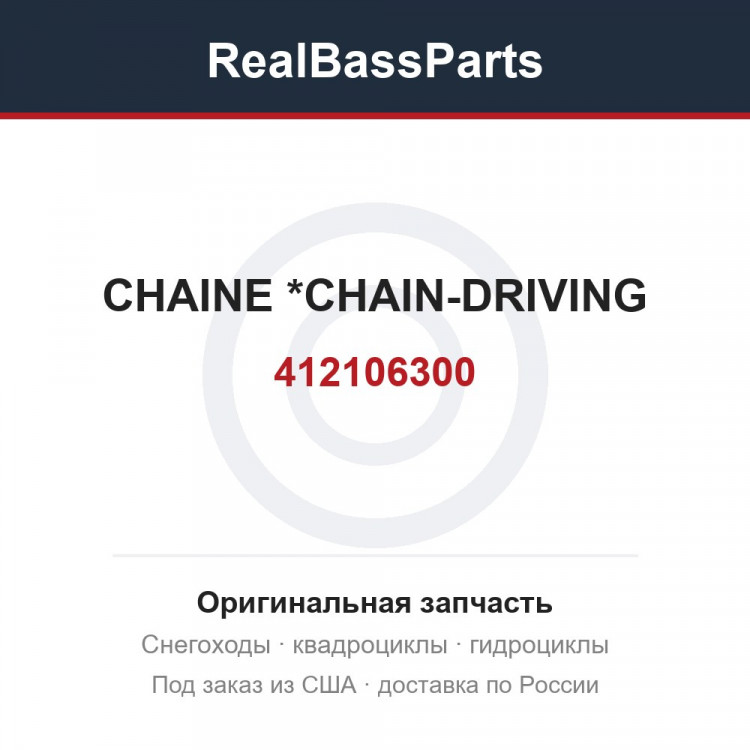 412106300 CHAINE         *CHAIN-DRIVING