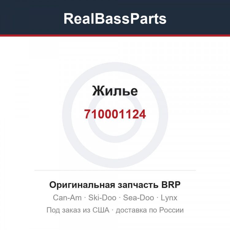 710001124 Жилье
