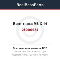 250000384 Винт торкс M6 X 14