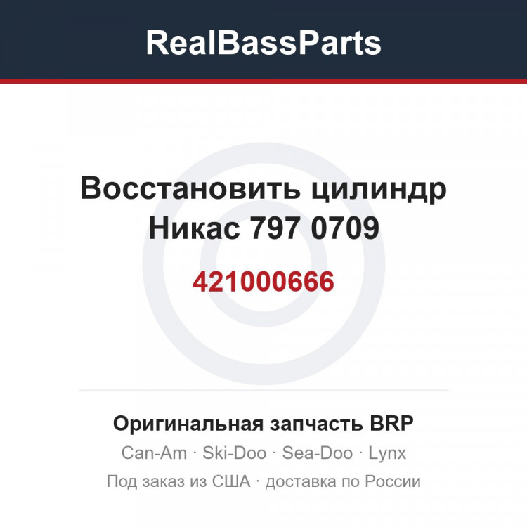 421000666 Восстановить цилиндр Никас 797 0709