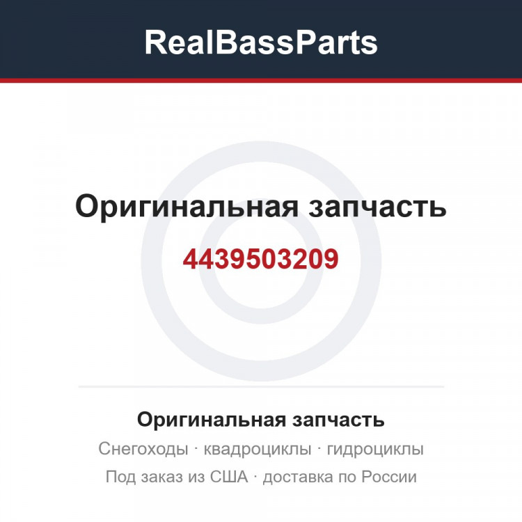 4439503209