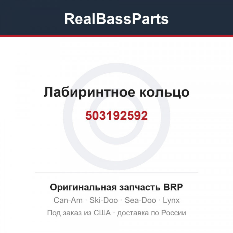 503192592 Лабиринтное кольцо