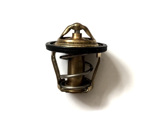 420222497 THERMOSTAT ASS *THERMOSTAT-  GASKET  Термостат