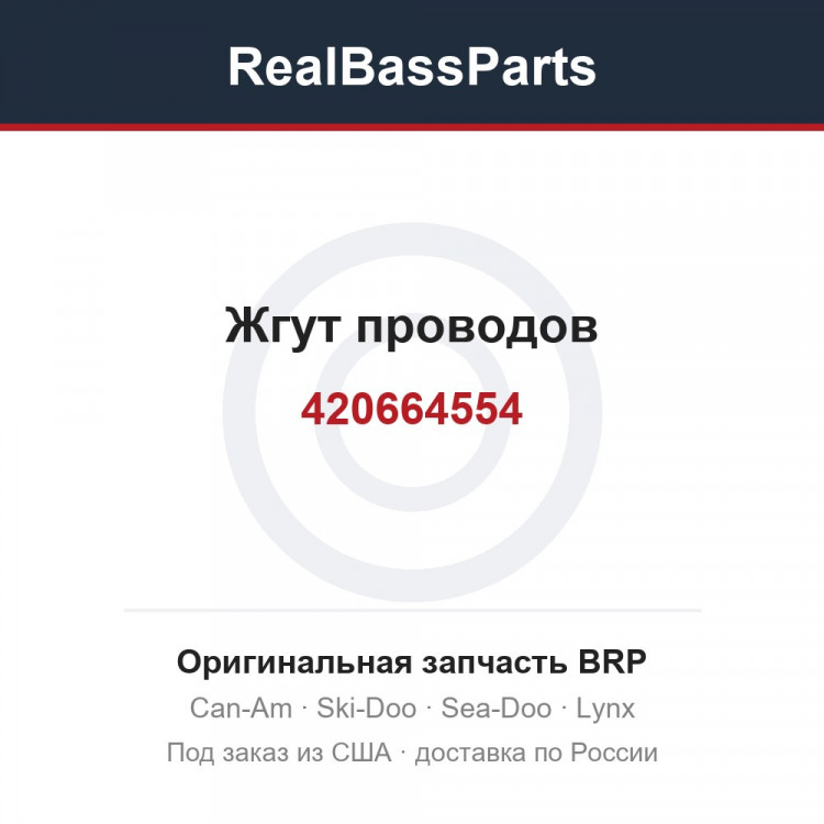 420664554 Жгут проводов