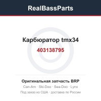 403138795 Карбюратор tmx34