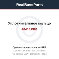 404161961 Уплотнительное кольцо