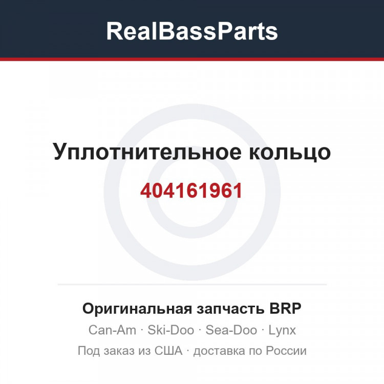 404161961 Уплотнительное кольцо