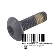250000350 TORX-TRUSS M/S STLSS NYLON PATCH Болт M6 X 20