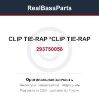 293750058 CLIP TIE-RAP   *CLIP TIE-RAP