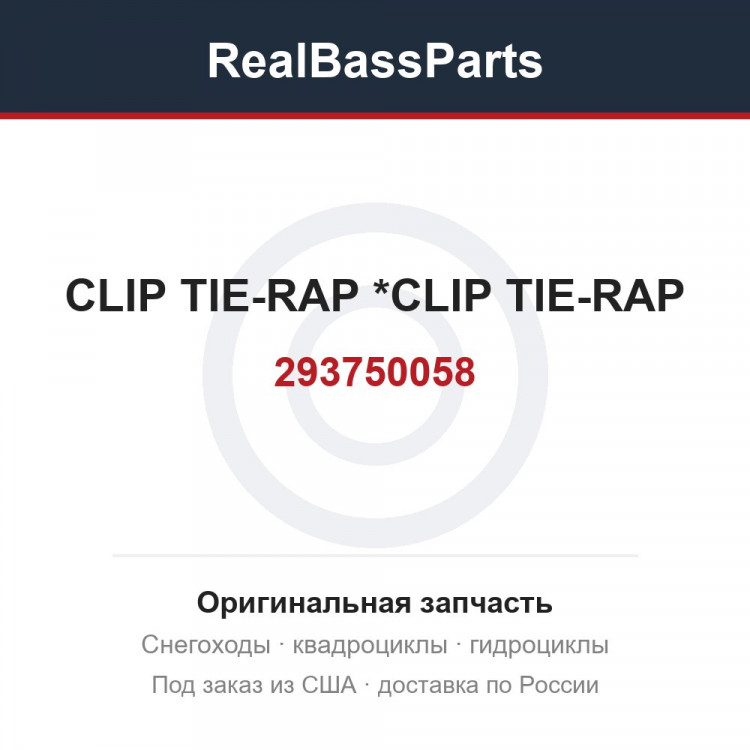 293750058 CLIP TIE-RAP   *CLIP TIE-RAP