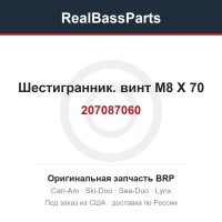 207087060 Шестигранник. винт M8 X 70