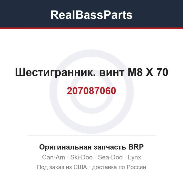 207087060 Шестигранник. винт M8 X 70