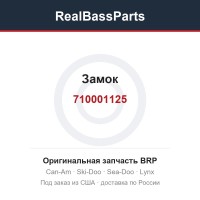 710001125 Замок