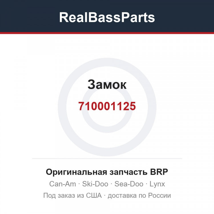 710001125 Замок