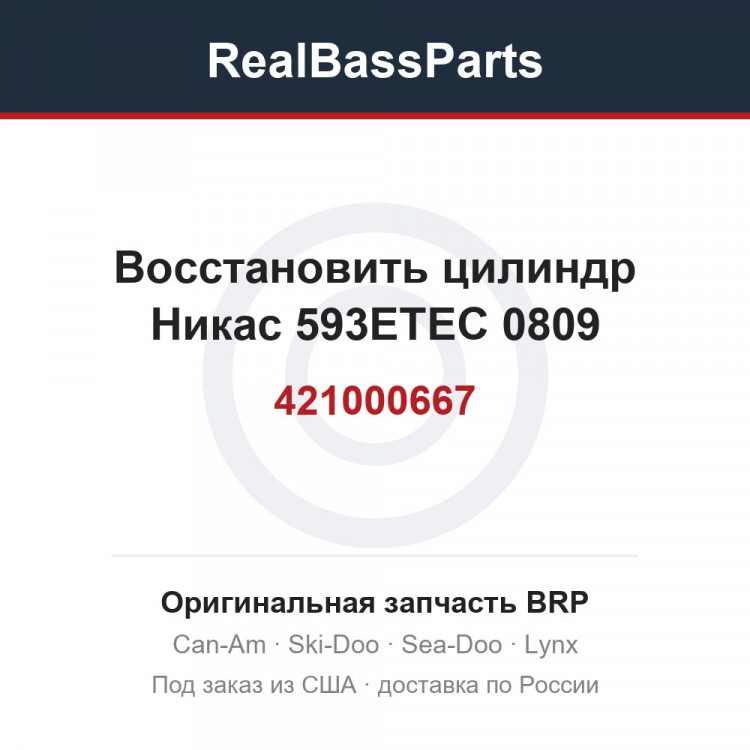 421000667 Восстановить цилиндр Никас 593ETEC 0809