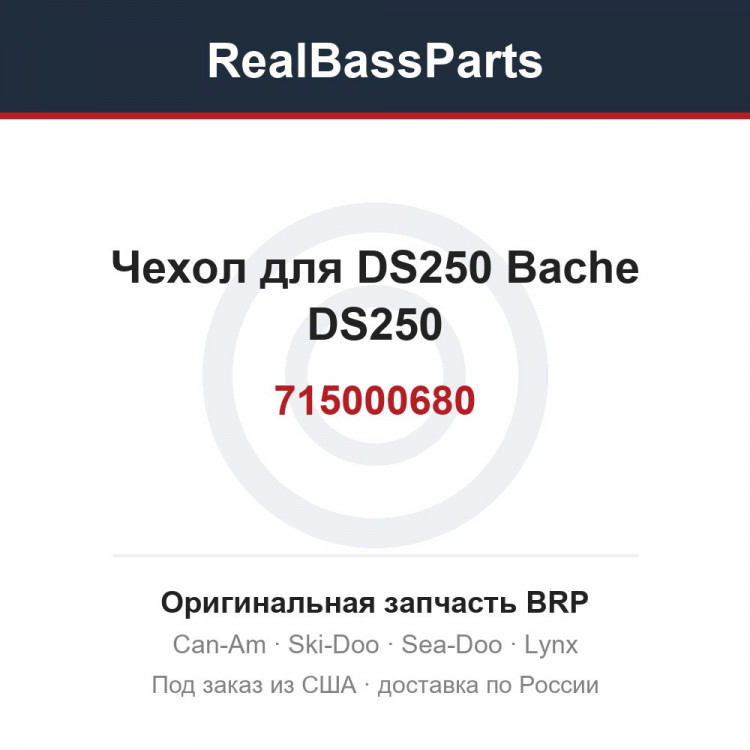 715000680 Чехол для DS250 Bache DS250