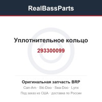 293300099 Уплотнительное кольцо