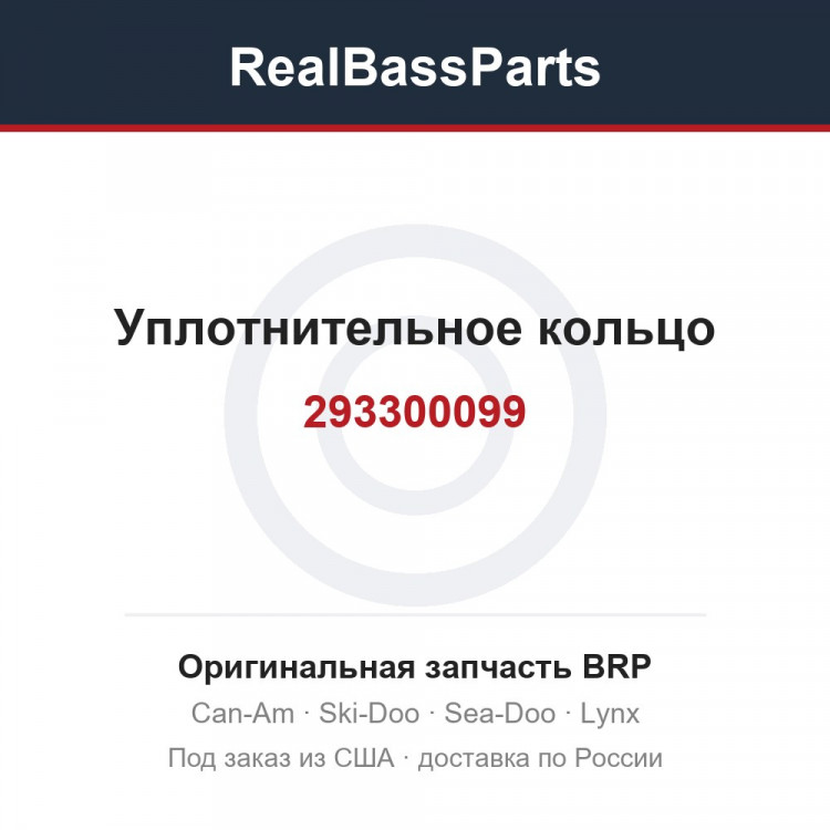 293300099 Уплотнительное кольцо