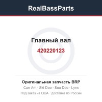 420220123 Главный вал