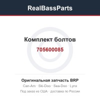 705600085 Комплект болтов