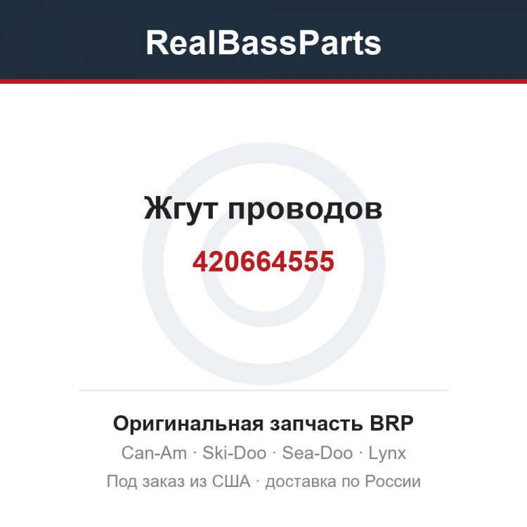 420664555 Жгут проводов