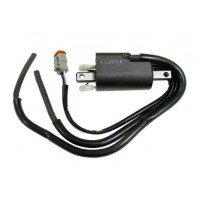 SM-01150 Катушка зажигания BRP 512059564, 410922935