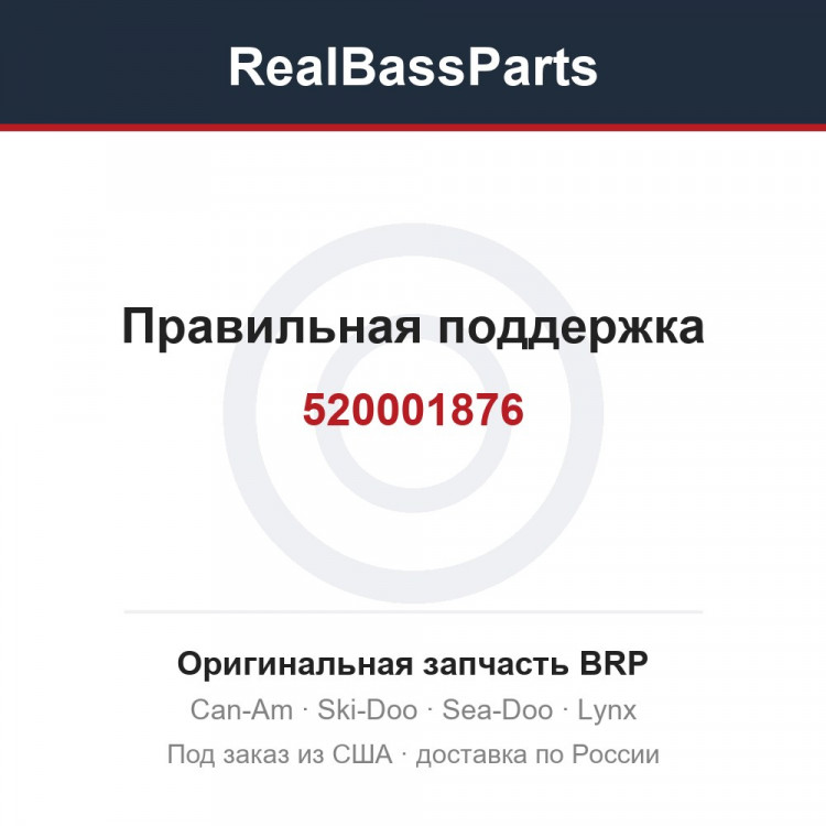 520001876 Правильная поддержка