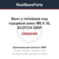 250000386 Винт с головкой под торцевой ключ M6 X 30, SCOTCH GRIP