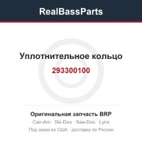 293300100 Уплотнительное кольцо