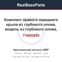 715002855 Комплект правого переднего крыла из глубокого олова, модель из глубокого олова, международная модель
