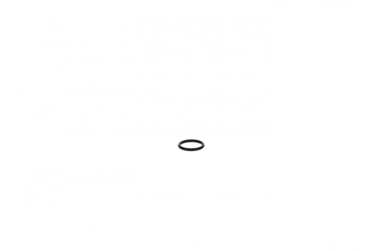 420250050 JOINT TORIQUE  *O RING