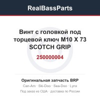 250000004 Винт с головкой под торцевой ключ M10 X 73 SCOTCH GRIP