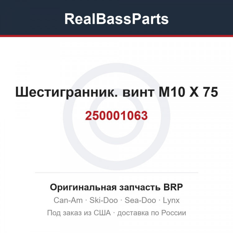 250001063 Шестигранник. винт M10 X 75