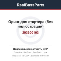 293300103 Оринг для стартера (без иллюстрации)