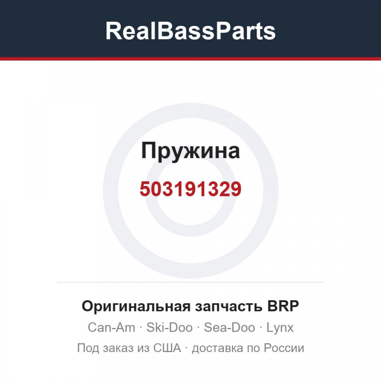 503191329 Пружина