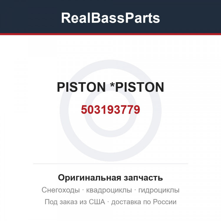 503193779 PISTON         *PISTON