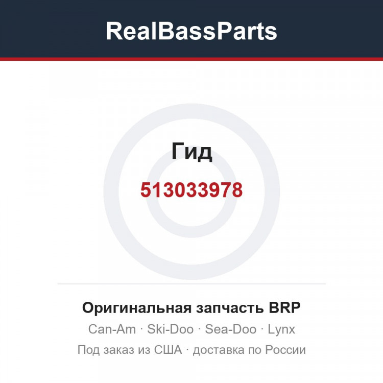 513033978 Гид