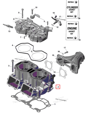 Цилиндр Ski-Doo 420413549