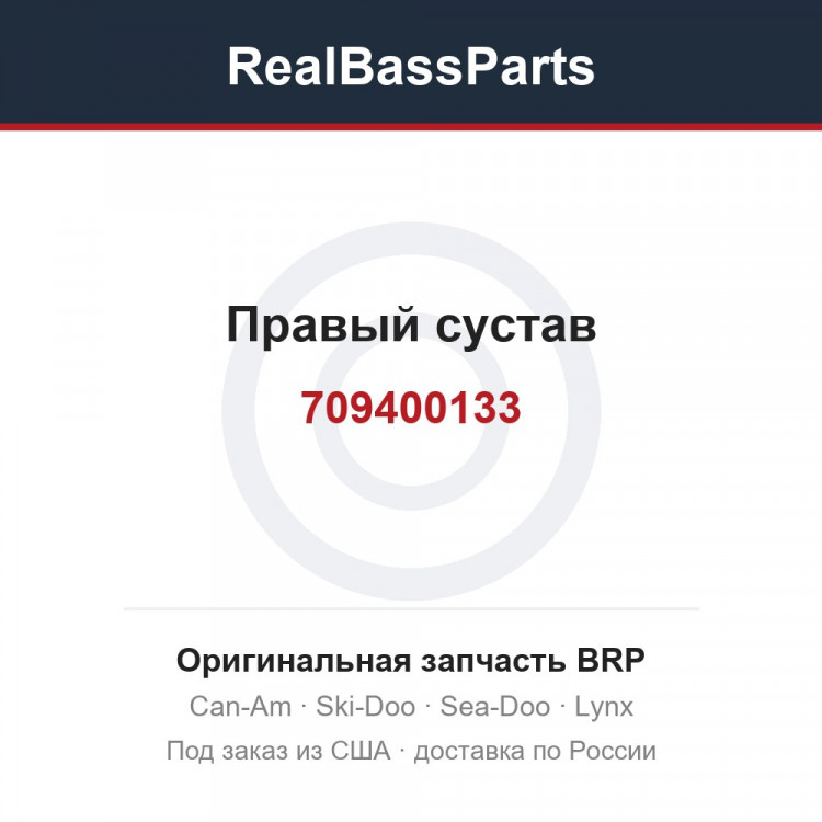 709400133 Правый сустав