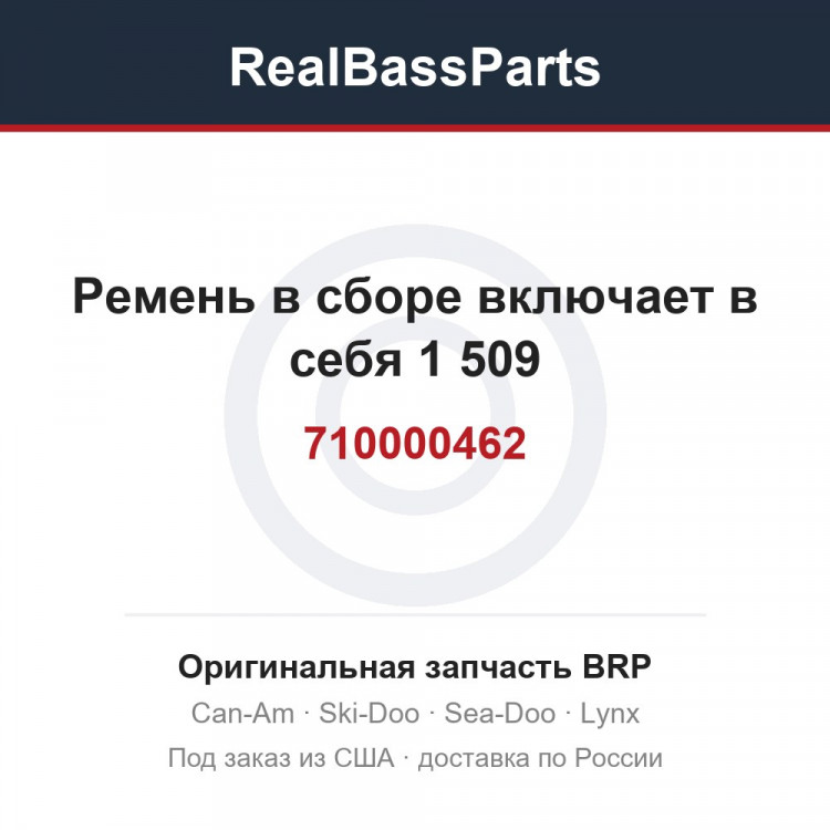 710000462 Ремень в сборе включает в себя 1 509