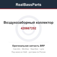 420667252 Воздухозаборный коллектор